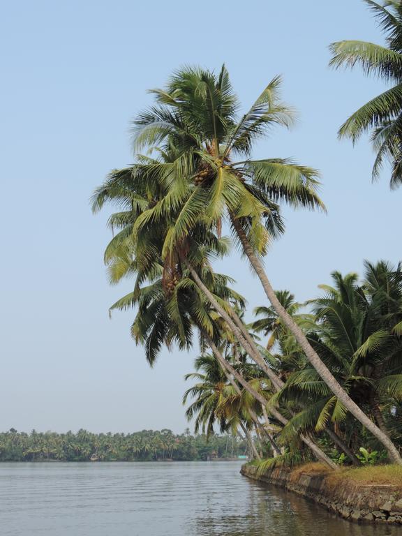 Aroma Home Stay Kochi المظهر الخارجي الصورة